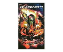 Lost Love Back Vashikaran Expert Astrologer +91-9056562757