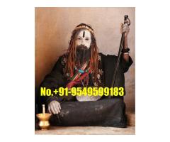 One Sided Love Solution Astrologer Specialties Baba Ji