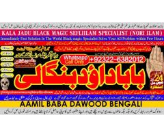 love problem solution specialist online love problem solution love marriage specialist D4