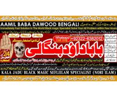 Love Vashikaran Specialist Kala Jadu Expert Specialist In USA Kala Jadu Expert In UAE D5