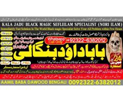 online istikhara for love marriage vashikaran specialist love problem solution astrologer D6