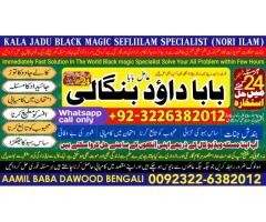 Kala Jadu Expert Specialist In Malaysia Kala Jadu Expert Specialist In Australia Love Vashikaran E1