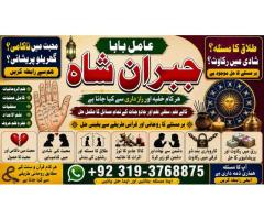 Amil Baba Tantrik Pandit Hindu Astrologer Love Problem Amil Baba Divorce Problem Sloution E4