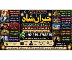 Kala Jadu Expert Specialist In Malaysia Kala Jadu Expert Specialist In Australia Love Vashikaran E6