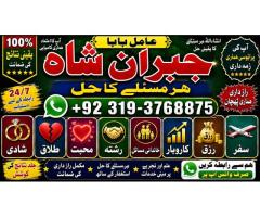 online istikhara for love marriage vashikaran specialist love problem solution astrologer E8