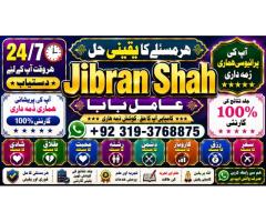 Love Vashikaran Specialist Kala Jadu Expert Specialist In USA Kala Jadu Expert In UAE F1
