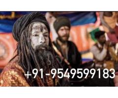 Love Breakup Problem Solution Specialties Baba Ji 09549599183