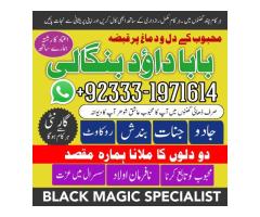 Kala Jadu Expert & Specialist Malaysia | Kala Jadu Expert Australia | Love Vashikaran Specialist
