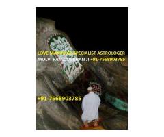 Love Marriage Problem Solution Expert Astrologer 7568903785