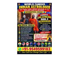 Indian No 1 Astrologer Specialties Baba Ji